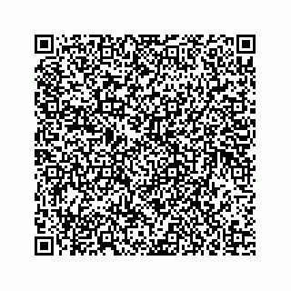 vCard 73835339336