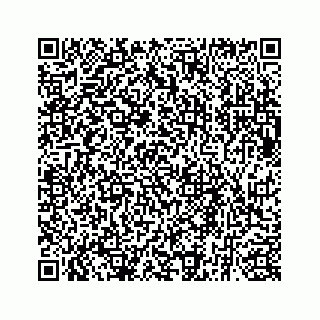 vCard 73835339337