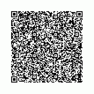 vCard 73835339338