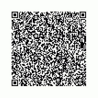 vCard 73835339346