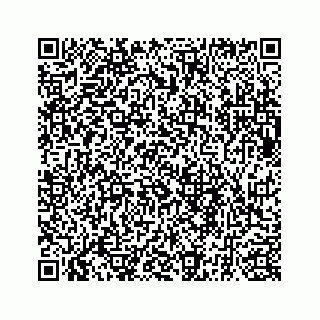 vCard 73835339349