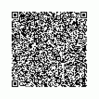 vCard 73835339353
