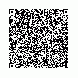 vCard 73835339370