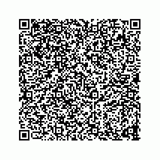 vCard 73835339373