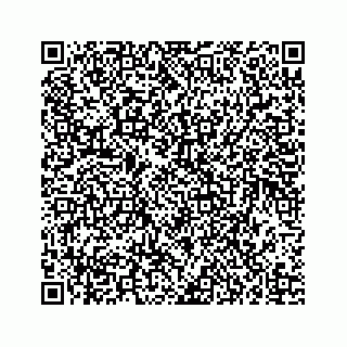 vCard 73835339374