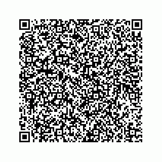 vCard 73835339375