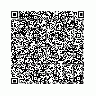 vCard 73835339377
