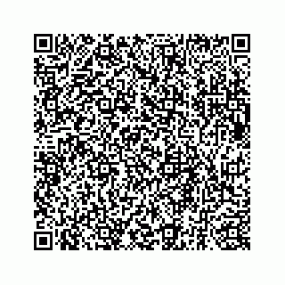 vCard 73835339379