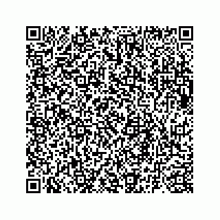 vCard 73835339380