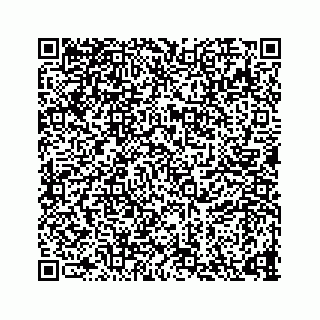vCard 73835339385