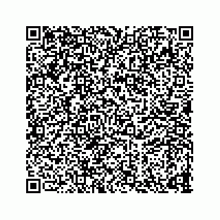 vCard 73835339387