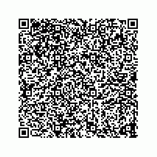vCard 73835339389