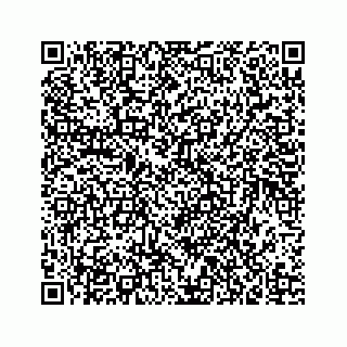 vCard 73835339390