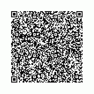 vCard 73835339391