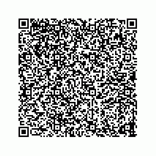 vCard 73835339392