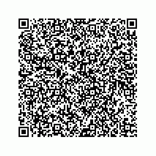 vCard 73835339393