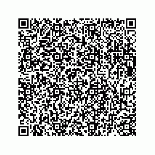 vCard 73835339397