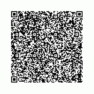 vCard 73835339399
