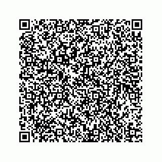 vCard 73835339400