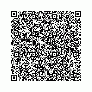 vCard 73835339413