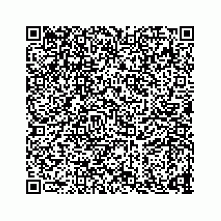 vCard 73835339439
