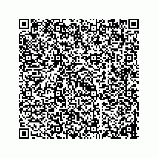 vCard 73835423295