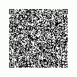 vCard 73835423313