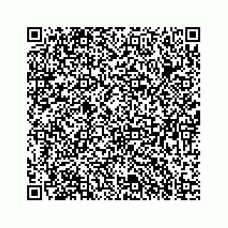 vCard 73835423331