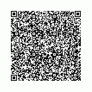 vCard 73835423334