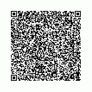 vCard 73835549313