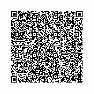 vCard 73835549319