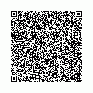 vCard 73835549333