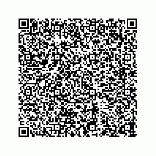 vCard 73835549383