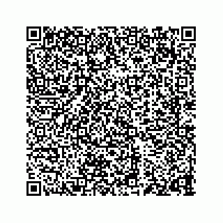 vCard 73835549385