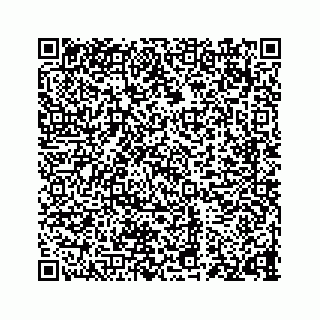 vCard 73835549411