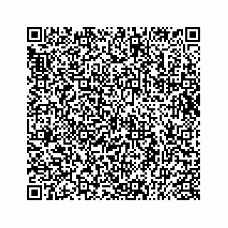 vCard 73835627379