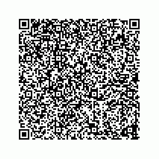 vCard 73835848311