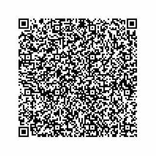 vCard 73836233536