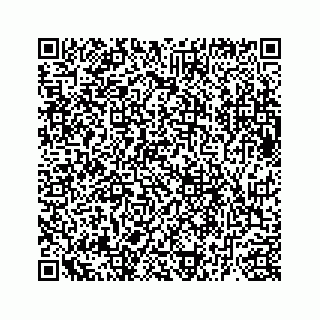 vCard 73836339299