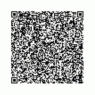 vCard 73836339310