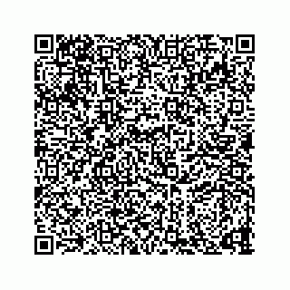 vCard 73836339315