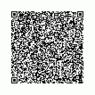 vCard 73836339328