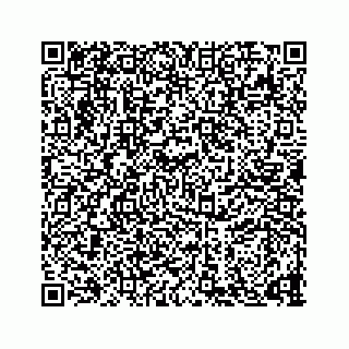 vCard 73836339333