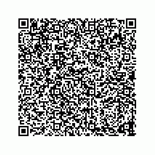 vCard 73836339335