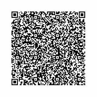 vCard 73836339336