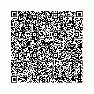vCard 73836339371
