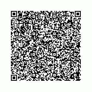 vCard 73836339379