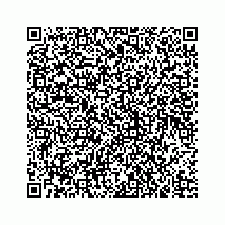 vCard 73836339387