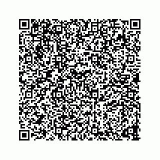 vCard 73836339389