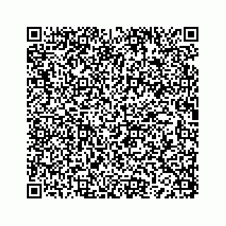 vCard 73836339399